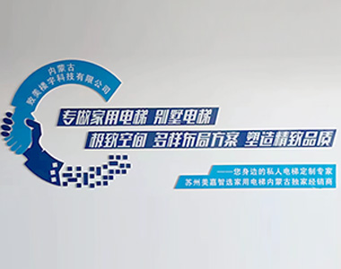 �(zh��n)�����{(l��n)��ӿƼ����޹�˾